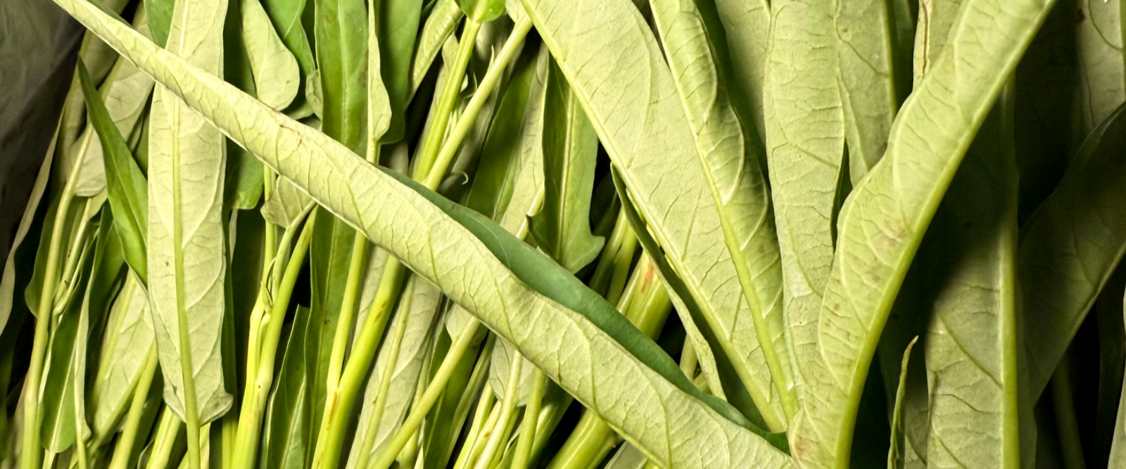 WATER SPINACH NOW AVAILABLE
